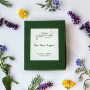 New Mums Flower Essence Survival Kit