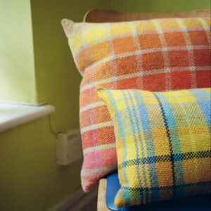 Warm Tones Colour Chart Cushion
