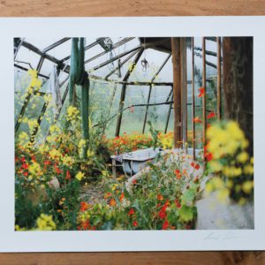 Quiet sacred place of sweet things A3 Photographic Giclée Print