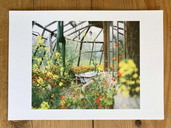 Quiet sacred place of sweet things A4 Photographic Giclée Print