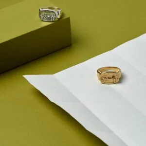 Stallion Ring