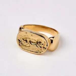 Stallion Ring