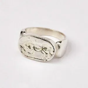 Stallion Ring