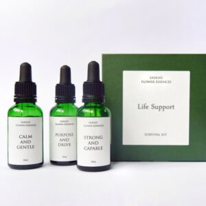 Life Support -Flower Essence Survival Kit for men and boys