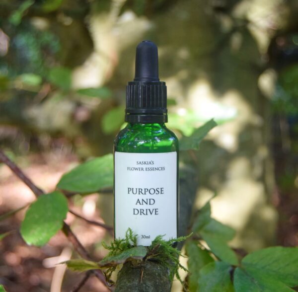 Purpose and Drive Flower Essence Blend