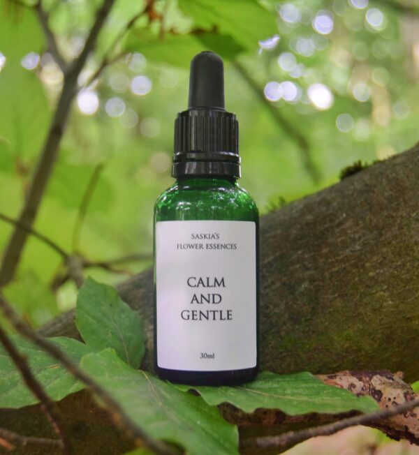 Calm and Gentle Flower Essence Blend