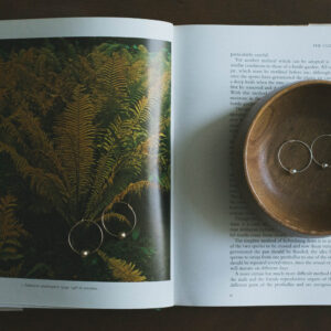 bauble hoops flat lay with a book about ferns and a woden bowl